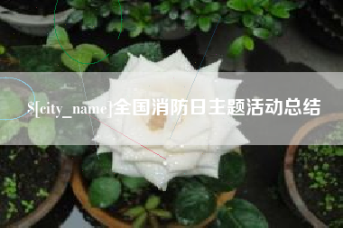 长岭全国消防日主题活动总结