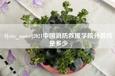 长岭2021中国消防救援学院分数线是多少