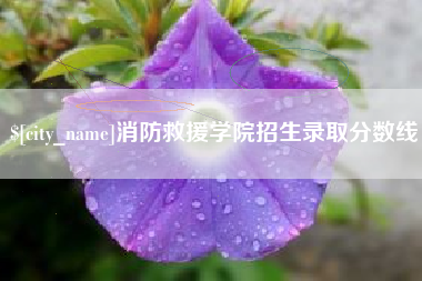 长岭消防救援学院招生录取分数线