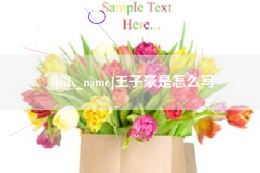 长岭王子豪是怎么写