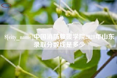 长岭中国消防救援学院2021年山东录取分数线是多少