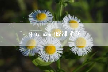 长岭成都 消防