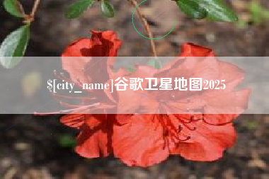 长岭谷歌卫星地图2025