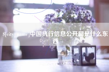 长岭中国执行信息公开网是什么东西