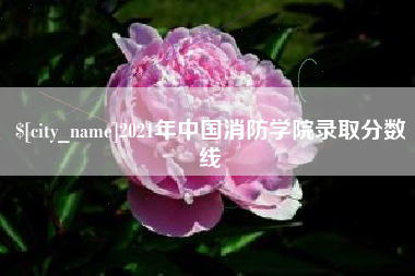 长岭2021年中国消防学院录取分数线