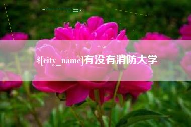 长岭有没有消防大学