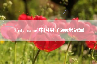 长岭中国男子5000米冠军