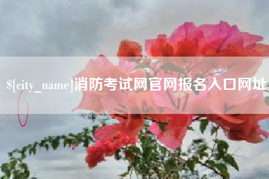 长岭消防考试网官网报名入口网址