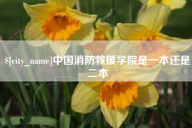长岭中国消防救援学院是一本还是二本