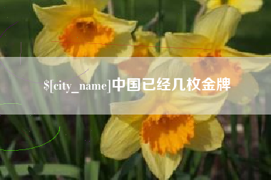 长岭中国已经几枚金牌