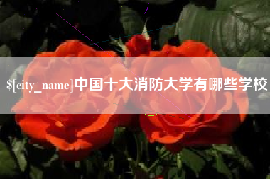 长岭中国十大消防大学有哪些学校