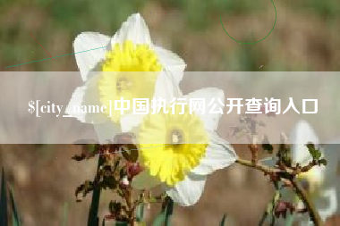 长岭中国执行网公开查询入口