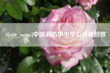 长岭中国消防中小学公开课回放