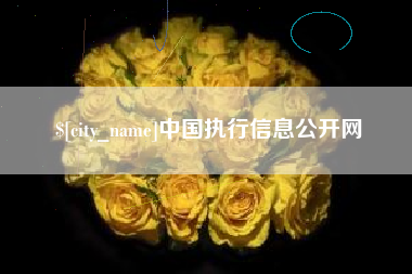 长岭中国执行信息公开网