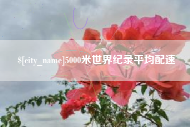 长岭5000米世界纪录平均配速