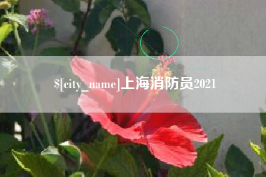 长岭上海消防员2021