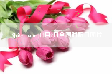 长岭11月9日全国消防日图片