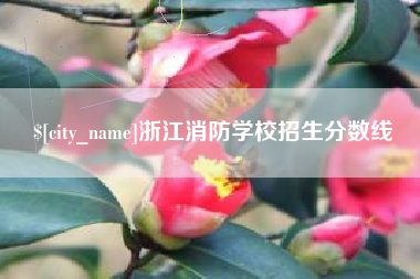 长岭浙江消防学校招生分数线