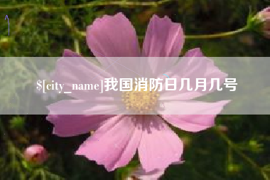 长岭我国消防日几月几号