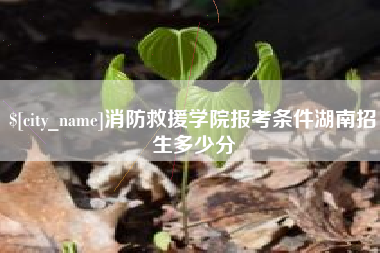 长岭消防救援学院报考条件湖南招生多少分