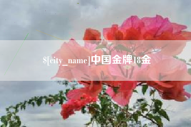 长岭中国金牌18金