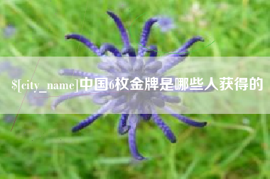 长岭中国6枚金牌是哪些人获得的