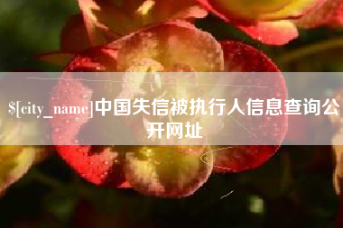 长岭中国失信被执行人信息查询公开网址