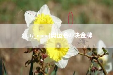 长岭奥运会39块金牌