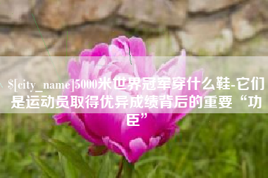 长岭5000米世界冠军穿什么鞋-它们是运动员取得优异成绩背后的重要“功臣”