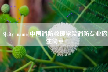 长岭中国消防救援学院消防专业招生简章