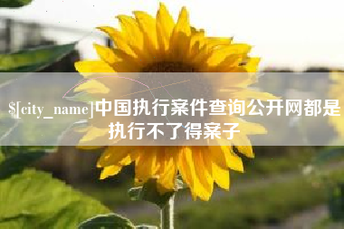 长岭中国执行案件查询公开网都是执行不了得案子