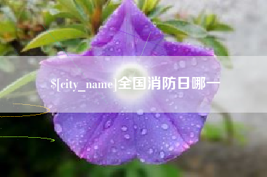 长岭全国消防日哪一
