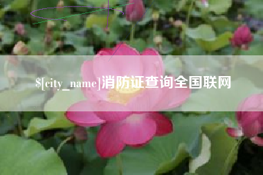 长岭消防证查询全国联网