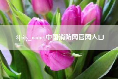 长岭中国消防网官网入口