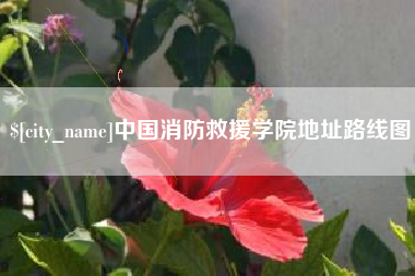 长岭中国消防救援学院地址路线图