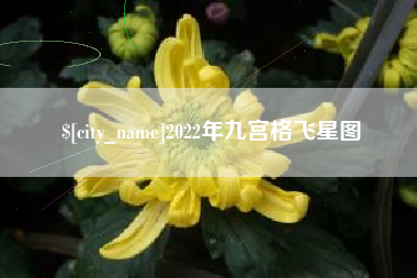 长岭2022年九宫格飞星图