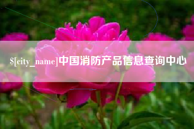 长岭中国消防产品信息查询中心