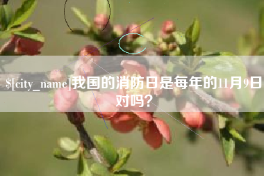 长岭我国的消防日是每年的11月9日对吗？