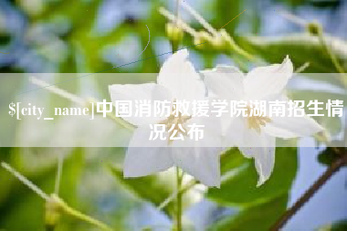 长岭中国消防救援学院湖南招生情况公布