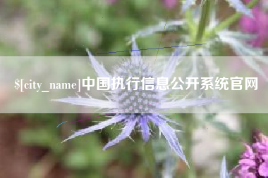 长岭中国执行信息公开系统官网