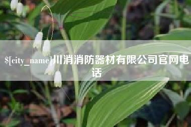 长岭川消消防器材有限公司官网电话
