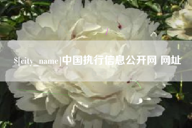 长岭中国执行信息公开网 网址