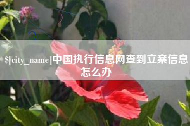 长岭中国执行信息网查到立案信息怎么办