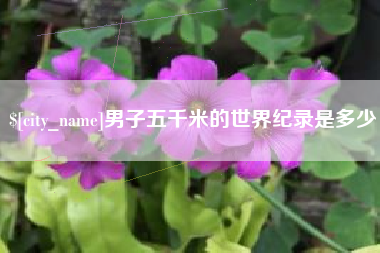 长岭男子五千米的世界纪录是多少