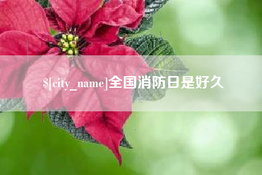 长岭全国消防日是好久