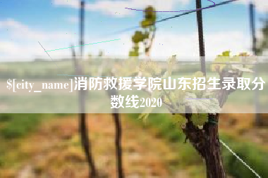 长岭消防救援学院山东招生录取分数线2020