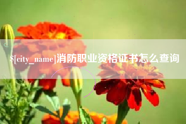 长岭消防职业资格证书怎么查询