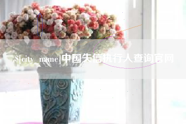 长岭中国失信执行人查询官网