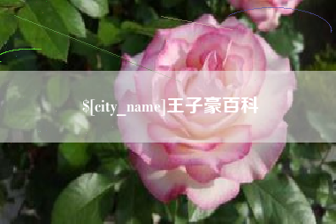 长岭王子豪百科
