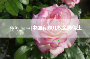 长岭中国有哪几枚金牌得主